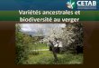 © Yves Auger - CETAB+ · 5 Lors de la colonisation, les arbres fruitiers sont implantés par des familles françaises, écossaises, irlandaises, anglaises ou des communautés religieuses