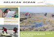 ARLECAN OCEAN...Photos de M-A Letertre 2 Arlecan océan n 2 - été/automne 2019 2 qui nous a indiqué une distance de 4km. La maîtresse nous a expliqué que c'était long comme 4000