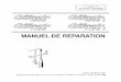 California 1000 et 1100 - Manuel d'atelierF... · 2007-06-28 · 24.5 Démarreur “VALEO ... MAGNETI MARELLI “DIGIPLEX” (version avec Carburateurs) 24.10 Bougies. MANUEL D’ATELIER