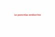 Le pancréas endocrine - Paul Sabatier Universitymedecine.ups-tlse.fr/dcem1/histologie/pancreas endocrine D1.pdf · Îlots de Langerhans Chaque cellule sécrète un peptide hormonal
