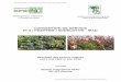 CONVENTION DE SERVICE N° 6 / PH2/FFEM / SODECOTON - IRADopen-library.cirad.fr/files/2/369__1056232812.pdf · l’Institut de Recherche Agricole pour le Développement, Station Polyvalente