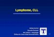 Lymphome, CLL - InVOinvo.maxit4u.de/wp-content/uploads/2019/02/Neues... · OS: HR 0.66, P=0.024 • A+CHP has a comparable safety profile to CHOP • ECHELON-2 is first prospective