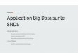 SNDS Application Big Data sur le · 5 ans de développement, 2 ans pour une plateforme viable pour du ML. Jusqu'à 5 développeurs. Création d’une API/ETL de traitement de données