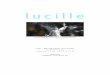 lucille グローバルイルミネーションレンダラ ユーザーズ ...lucille.sourceforge.net/docs/userman_j.pdf · 2004-10-18 · Œ パストレーシング Œ モンテカルロ分散レイトレーシング