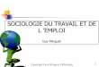 SOCIOLOGIE DU TRAVAIL ET DE L ’EMPLOI - IMT Atlantiqueweb.imt-atlantique.fr/.../MD1-Intensification-travail.pdf · 2007-03-29 · 3. Objectifs d ’apprentissage de la session Comprendre