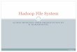 Hadoop File System - UCR Computer Science and nael/cs202/lectures/lec14.pdf Hadoop/HDFS open source