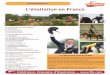 L’équitation en France · Cette collection de fiches thématiques sur les différents aspects de l’équitation en France ouvre des perspectives pour présenter l’équita-tion