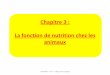 Chapitre 3 : La fonction de nutrition chez les animauxcol21-henry-berger.ac-dijon.fr/IMG/pdf/chapitre3-3.pdf · La souris est un exemple d’animal herbivore. Elle possède dans son