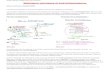 Médiateurs chimiques et Anti-Inflammatoiresprofsvt71.e-monsite.com/medias/files/theme-3-1-spe-chap...Fonctionnement des anti-inflammatoires : Les prostaglandines activent les récepteurs