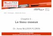 Chapitre 5 : Le tissu osseuxcyan1.grenet.fr/podcastmedia/PACES-2014-2015/UE2-HBDD1...Année universitaire 2014/2015 Université Joseph Fourier (UJF) Grenoble I - Tous droits réservés