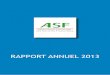 RAPPORT ANNUEL 2013 - Association française des ......l’activitÉ des adhÉrents de l’asf en 2013 1. le crÉdit a la consommation p. 33 2. le financement de l’Équipement des