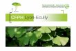 PPT Présentation CFPH - Auvergne Rhone En partenariat avec les ULIS du collège du Tonkin, les apprentis en Bac Pro 2 ème année Aménagement Paysager animent des ateliers de jardinage