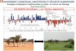 Stratégies d’adaptation traditionnelles au Sahel : le …...Variabilité climatique … un facteur aggravant Indice de variation annuelle des précipitations au Sahel entre 1900