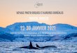 23-30 JANVIER 2021 · 2020-03-02 · VOYAGE PHOTO ORQUES ET AURORES BORÉALES LatitudeBlancheen coopération avec les photographes naturalistes TROMSØ, NORVÈGE 23-30 JANVIER 2021