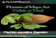 Flowers of Maya Art Visible at Tikal - maya- · PDF file Flowers of Maya Art Visible at Tikal. 2 Introduction: Flowers in Murals and Paintings of the Maya ... In the remarkable historical