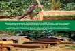 Le bois à l’ordre du jour - Cirad · du Congo et reconnaissance à Tropenbos International d’avoir pensé à notre modeste personne pour préfacer ce précieux document au nom