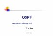 OSPF - univ-pau.frcpham.perso.univ-pau.fr/.../INGRES-M1/06-Routage-ospf.pdf · 2012-11-20 · LSA type 2 :Generé par le DR décrit, les routeurs rattachés à un réseau à diffusion
