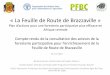 « La Feuille de Route de Brazzaville .pdf 5.3. Favoriser l'accès au matériel végétal de qualité (reboisement) et aux équipements pour la transformation des produits forestiers