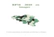 RPM 2010 en images - Belgium · Le « RPM 2010 en images» a été élaboré dans le même esprit qui a présidé à la publication des versions réalisées pour les données des