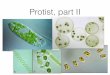 Protist, part II - University of Utahmiller.biology.utah.edu/courses/2015/presentations/03_protists_2.pdfSynapomorphies • Protist synapomorphies • Chlorophyll a and b • Chloroplasts