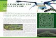 LES DRONES EN FORESTERIE - Partenariat …partenariat.qc.ca/.../uploads/2015/07/OT-215_drones.pdfet d’analyse des forêts en déterminant les coûts et bénéfices de cette technologie