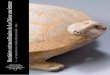 Bestiaire extraordinaire de la Chine anci Bestaire de... · La Tortue Encrier en forme de tortue Terre cuite grise Chine, dynastie Han (206 avant J.-C.-220 après J.-C.) Longueur