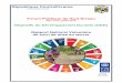 République Centrafricaine Unité-Dignité-Travail€¦ · bilan de la mise en œuvre des objectifs du millénaire pour le développement (OMD) est largement mitigé. En dépit des