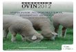 INNOVER AUJOURD’HUI, prospérer demain · La réflexion sur le m arché de la viande ovine da ns le monde, spécifiquement en termes d’offre et de demande, intervient dans un