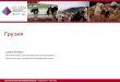 Грузия - Food and Agriculture Organization...Африканская лихорадка ЧМЖ Конго-крымская геморрагическая лихорадка Проекты