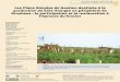 Les Plans Simples de Gestion destinés à la …...tales de Acacia auriculiformis y de especies locales, regeneración natural asistida...), que se han probado con los agricultores