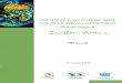 Information Climatique pour le Développement en Afrique · pour le Développement en Afrique ... rencontres régionales des Chefs d’Etat et de Gouvernement ainsi que par les Minis-tres