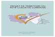 PROJET DE TERRITOIRE DU PETR COEUR DE LORRAINE€¦ · - L’évaluation du Contrat Local de Santé du territoire conclu sur la période 2014-2016 et l’engagement de réflexions