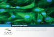 Séminaire SAPS 2017...23 NBO ‐ NeuroBiologie de l'Olfaction (Inra UR 1197) 24 UZB – Unité des zoonoses bactériennes, Laboratoire de santé animale (ANSES) 25 Virologie (ANSES‐Inra‐ENVA
