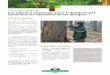 Fiche technique - Biodiversité : Les arbres à conserver ... · des petites branches mortes pour certains insectes xylophages (longicornes) jusqu’aux grandes cavités remplies