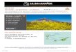 Canaries Tenerife - La Gomera - La Palma€¦ · La Gomera : Crête de La Mérica Départ du logement a` pied pour monter sur la crête de La Mérica, impressionnant massif rocheux