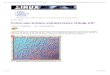 Créez une texture extraterrestre (Gimp 2.0) » UNIX Gardenwiki.deimos.fr/images/f/f4/Creez_une_texture_extraterrestre.pdf · Créez une texture extraterrestre (Gimp 2.0) Catégorie