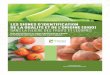 Carte de France des fruits et légumes AOP - oriGIn · 2020-05-12 · Les fruits et légumes étudiés ici comprennent les fruits et légumes frais (représentés par Interfel), ainsi