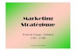 Marketing Stratégique - Freemamwata.free.fr/OutilsMatricesW/Cours MK/MARKETING...B./ L’analyse SWOT Acronyme de Strenghts, Weaknesses, Opportunities, Threats. Elle permet de faire