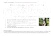 Culture de champignons sur billes en sous-bois · Guide technique - Pour diversifier les produits en forêt et ses revenus Culture de champignons sur billes en sous-bois Shiitake