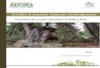 Forêts à hautes valeurs écologiques · Projets de numérisation et vectorisation de cartes anciennes ... schémas de cohérence écologique et de la trame verte et bleue. Il met