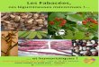 Les Fabac es PDF - Amicale des jardiniers du Puy-Mézierjardiniers-apm.com › documents › LesFabaceesPDF.pdf · Les fabacées vivent en symbiose avec des bactéries du genre Rhizobium