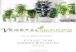 Collection Arbres & plantes 2016...Délai de livraison : 1 mois minimum TAILLE 100 cm –Réf. : PLA001 150 cm –Réf. : PLA002 200 cm –Réf. : PLA003 UTILISATION Intérieure Extérieure