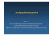 Les lymphomes malins · 2008-12-11 · Histoire clinique 1ère partie n 01-09.1998, lymphome folliculaire traité par 10 cycles de Leukeran per os pour un stade IVA n 06-11.1999,