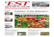 Tour de vergers Insectes: fruits défendus · 2020-05-28 · 29 mai 2020 - 54e année - N° 22 Prix : 4,00 € Tour de vergers Insectes: fruits défendus ! Les arbres sont en pleine