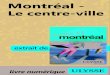 Montrأ©al - Le centre-ville EY Quartier des spectacles 24. EY Art actuel 2-22/La Vitrine 25. EY 49Monument-National