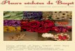 ercial rticulier - Bienvenue aux Fleurs Séchées de Bayetfleursecheedebayet.com/files/Catalogue-PARTICULIER-fleurs-sechee… · 42 Amarante caudatus (queue de renard) 43 Petite Rudbeckia