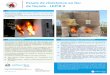 Essais de résistance au feu de façade - LEPIR II · n°1812 pour le marquage CE des produits feu Activité historique, l’expérience acquise sur les essais de résistance au feu