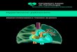 Hypertension pulmonaire - Schweizerische Herzstiftung · Hypertension pulmonaire thromboembolique chronique (HPTEC) L’embolie pulmonaire est une obstruction d’une ou plusieurs