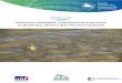 IMPACTS DU CHANGEMENT CLIMATIQUE SUR LE SITE PILOTE DU ... · Impacts du Changement Climatique et Actions GIZC en faveur de l’adaptation au changement climatique dans le Grand Sud