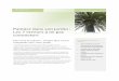Palmier dans son jardin : Les 7 erreurs à ne pasplantesetcouleurs.fr/wp-content/uploads/2012/07/Fiche-Pratique-Un... · Les 7 erreurs à ne pas commettre Une envie de palmier : vérifiez